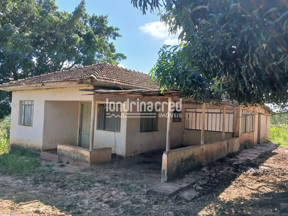 Sítio, 12 hectares - Foto 4