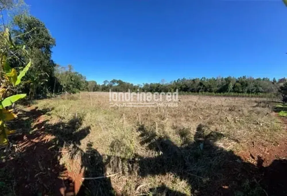Terreno, 7 hectares - Foto 3