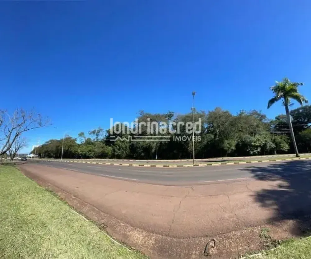 Terreno, 7 hectares - Foto 6