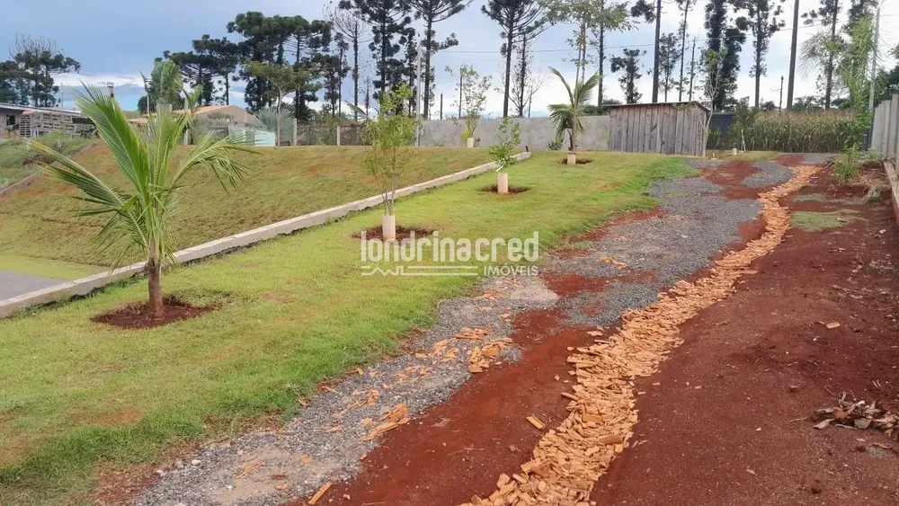 Chácara, 1 quarto, 1000 m² - Foto 6