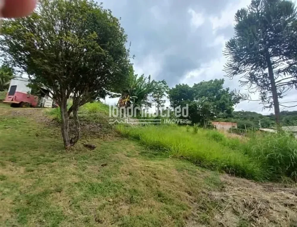 Terreno, 1000 m² - Foto 3