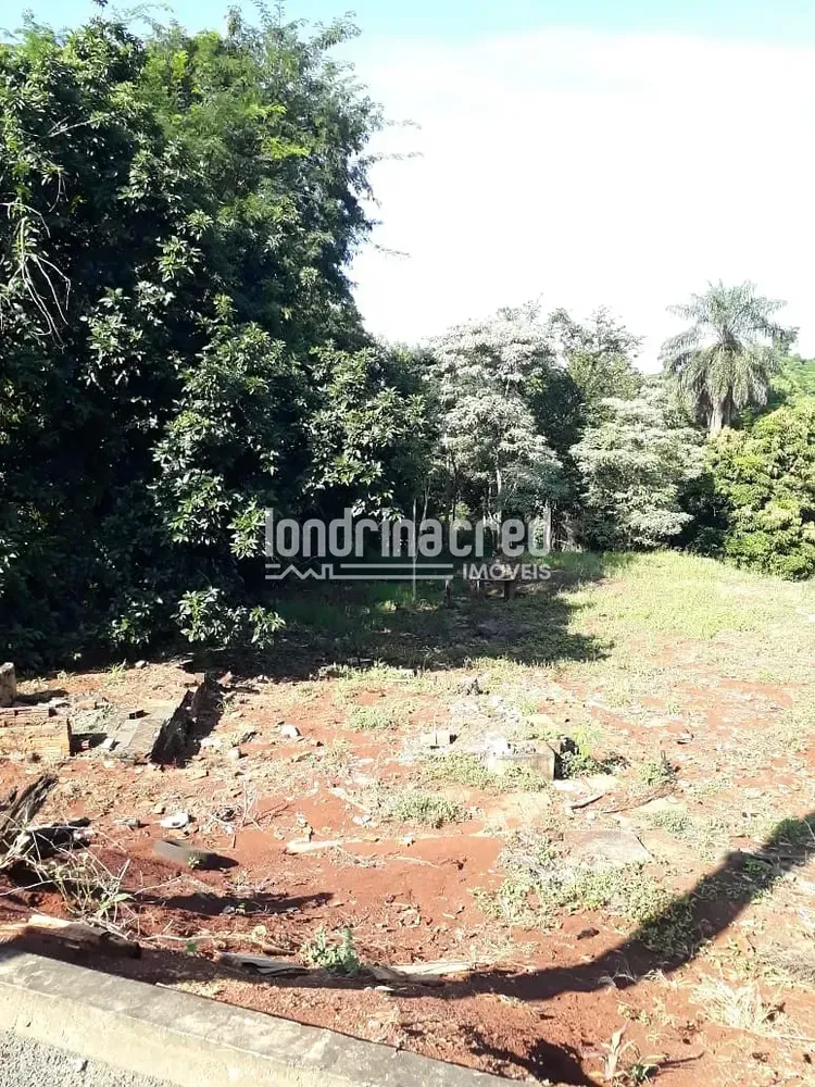 Terreno, 5000 m² - Foto 2