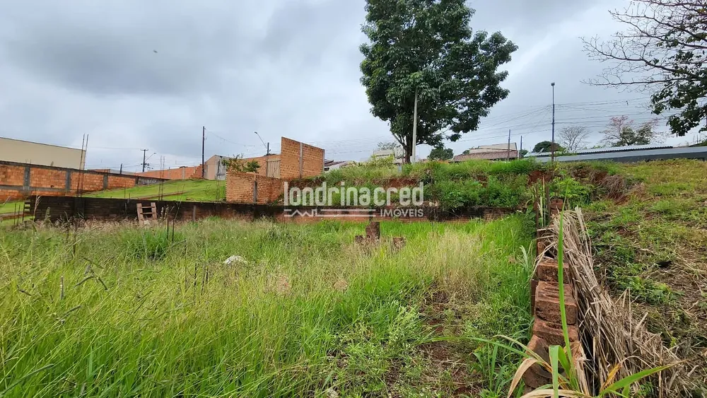 Terreno, 448 m² - Foto 3