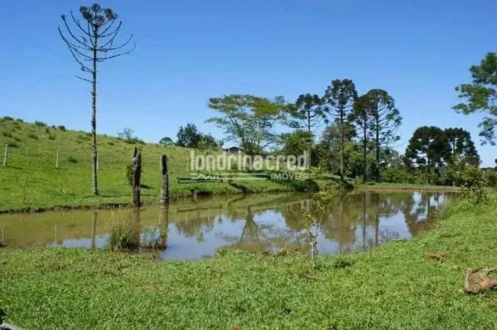Sítio, 1 quarto, 53 hectares - Foto 7