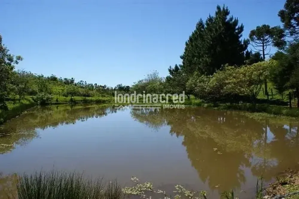 Sítio, 1 quarto, 53 hectares - Foto 6