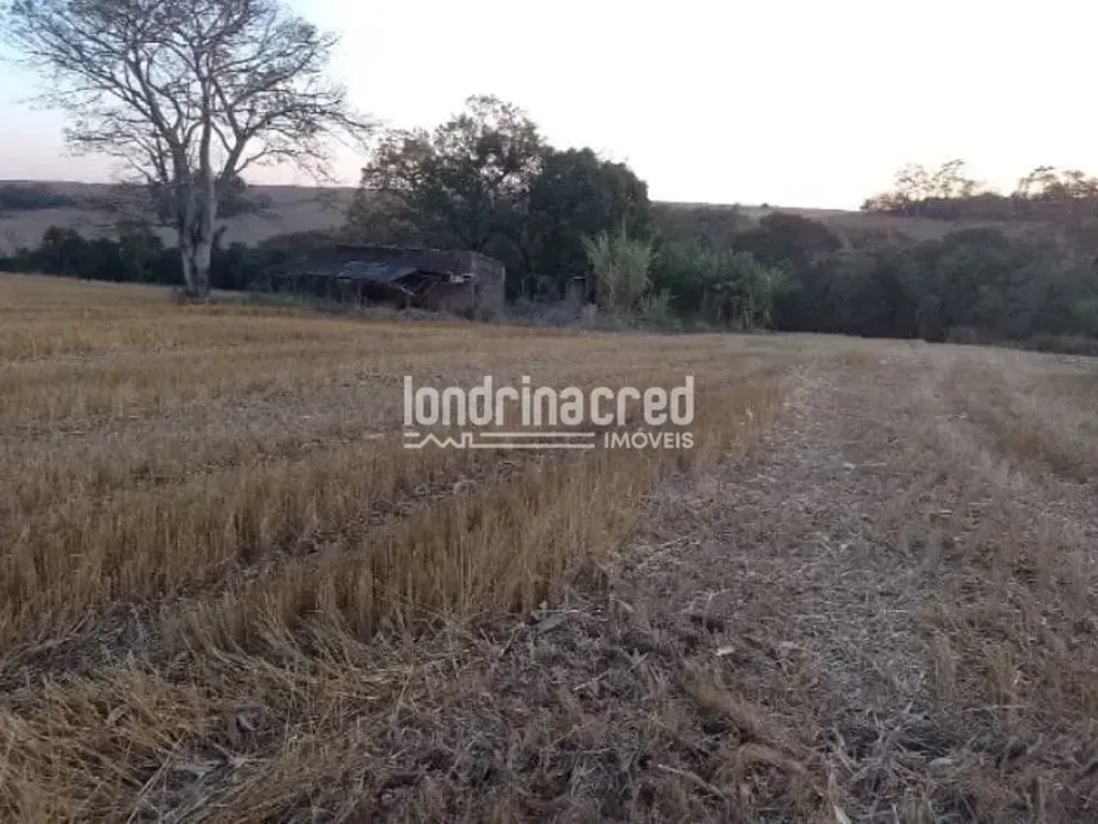 Terreno, 4 hectares - Foto 1