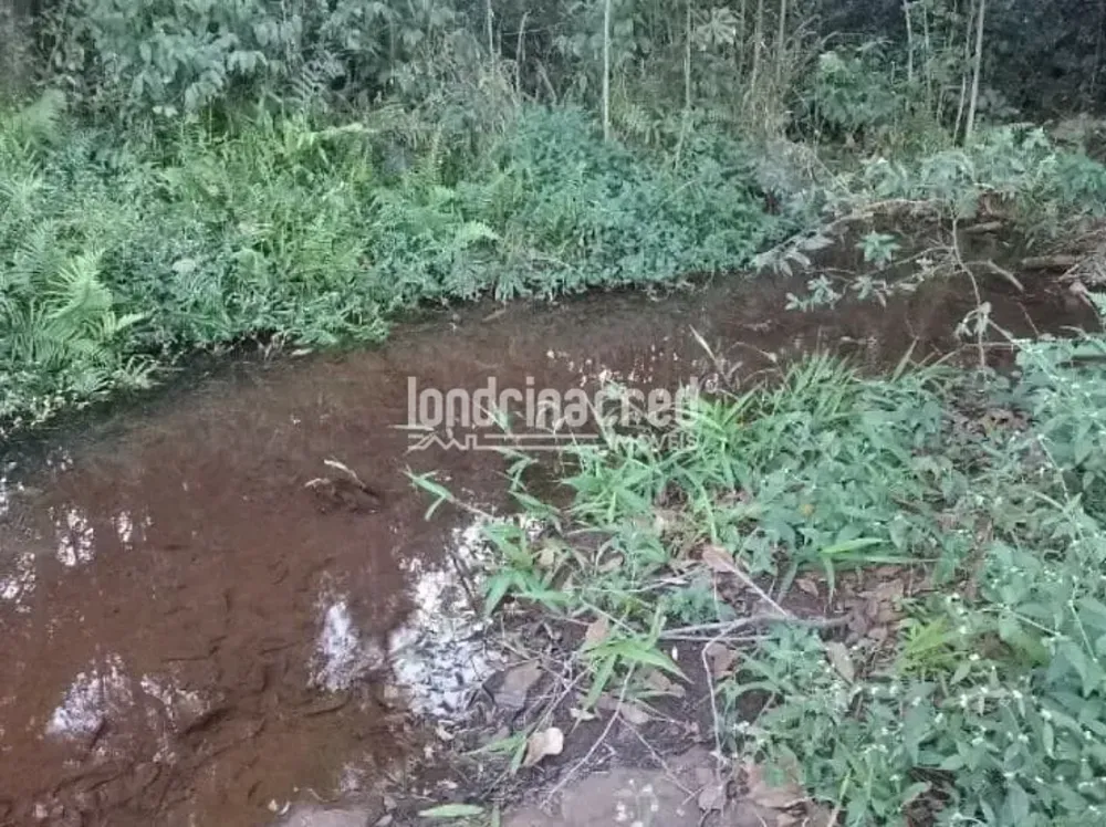 Terreno, 4 hectares - Foto 4