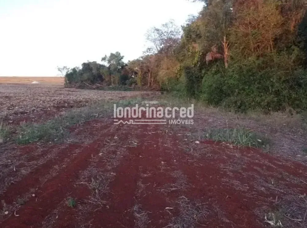 Terreno, 4 hectares - Foto 2
