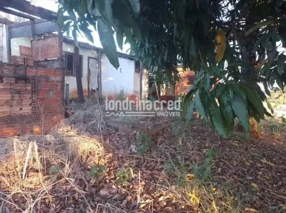 Terreno, 4 hectares - Foto 3
