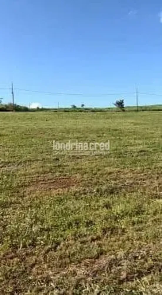 Terreno, 2375 m² - Foto 2