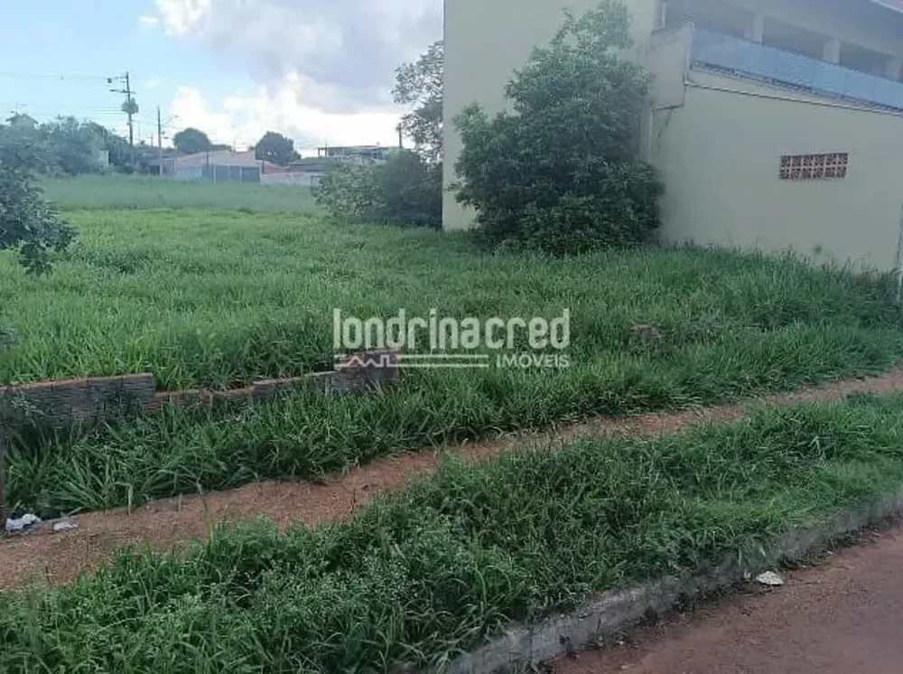 Terreno, 250 m² - Foto 6