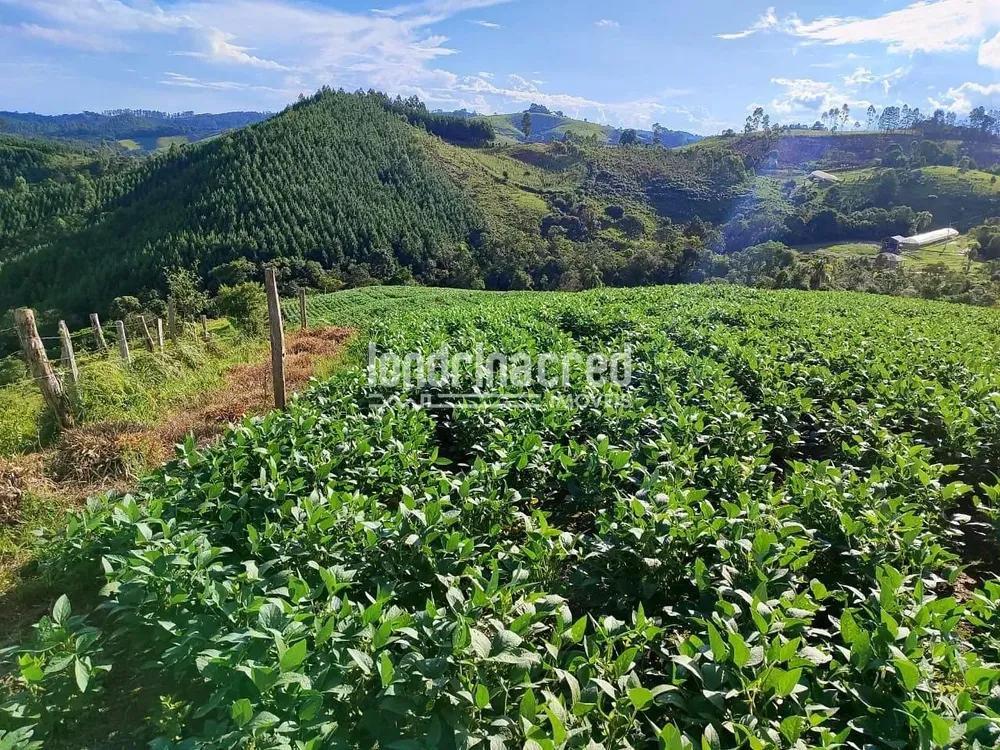 Sítio, 1 quarto, 74 hectares - Foto 3