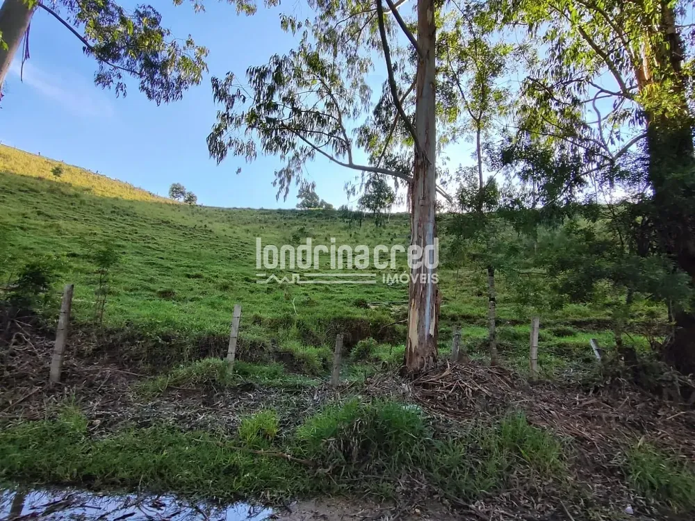 Sítio, 1 quarto, 74 hectares - Foto 1