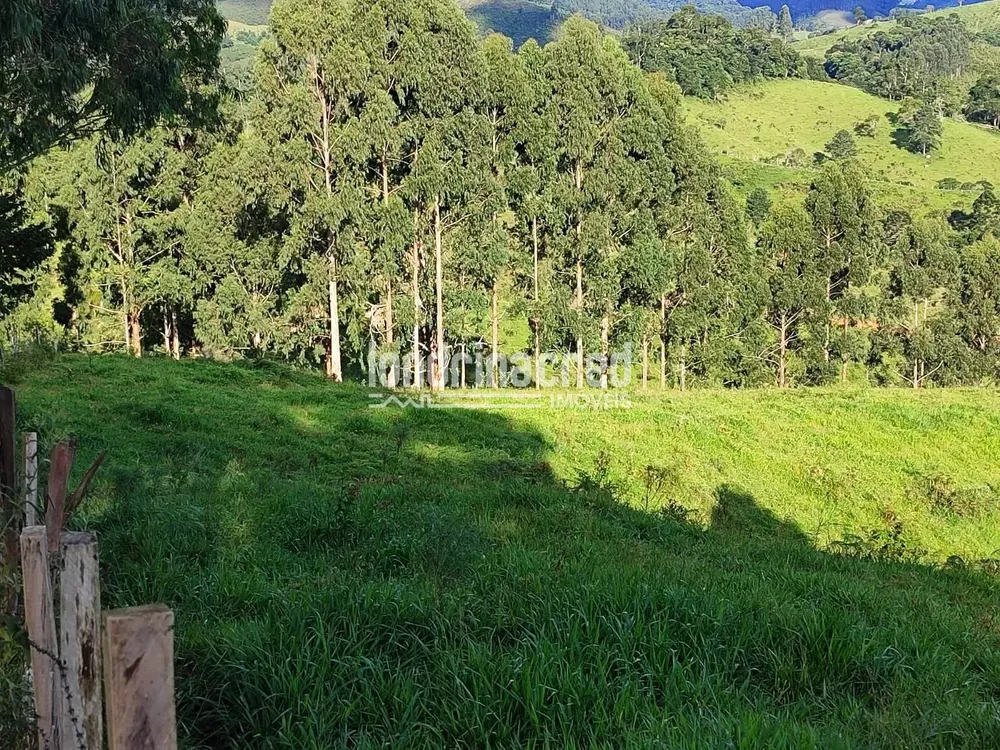 Sítio, 1 quarto, 74 hectares - Foto 2
