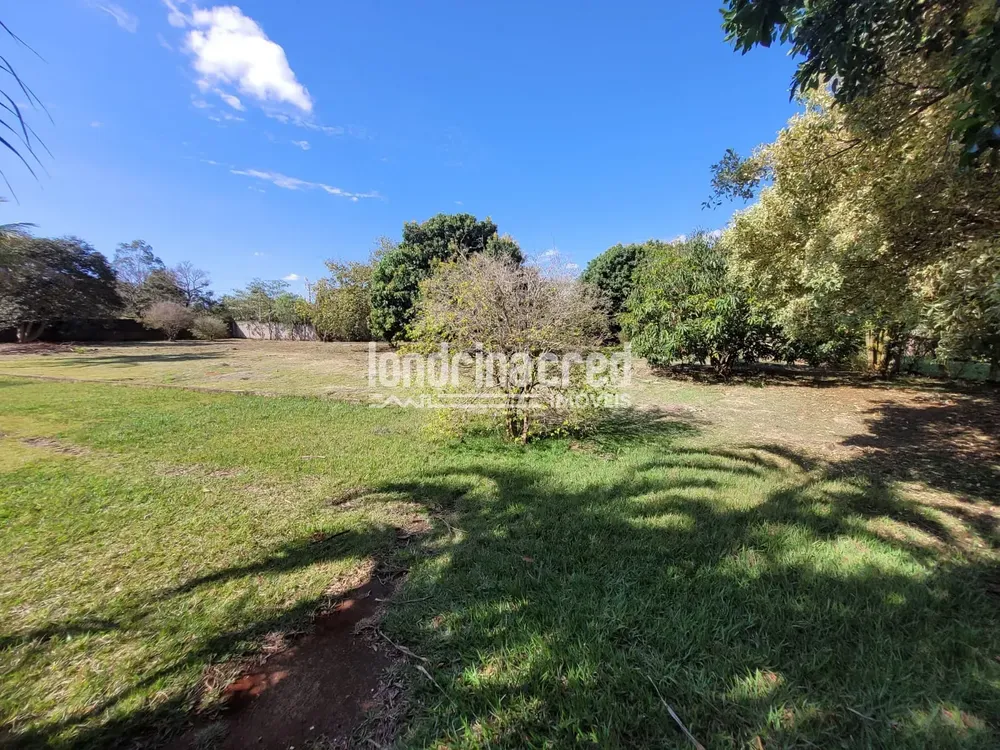 Chácara, 1 quarto, 4000 m² - Foto 1
