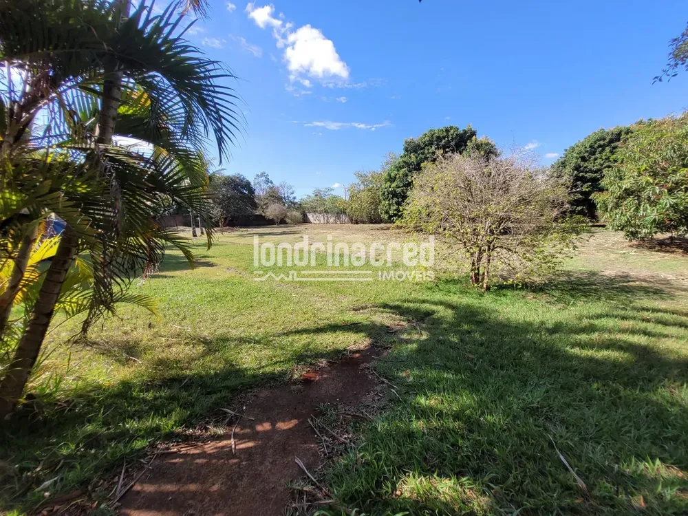 Chácara, 1 quarto, 4000 m² - Foto 6