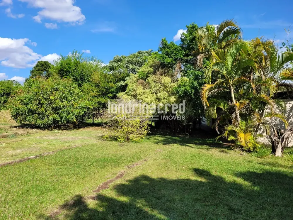 Chácara, 1 quarto, 4000 m² - Foto 5