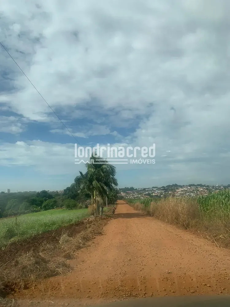 Sítio, 1 quarto, 12 hectares - Foto 4