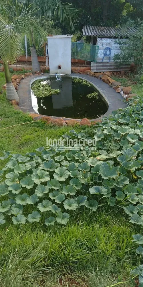 Chácara, 2 quartos, 2000 m² - Foto 7