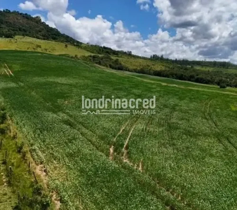 Fazenda, 17 hectares - Foto 2