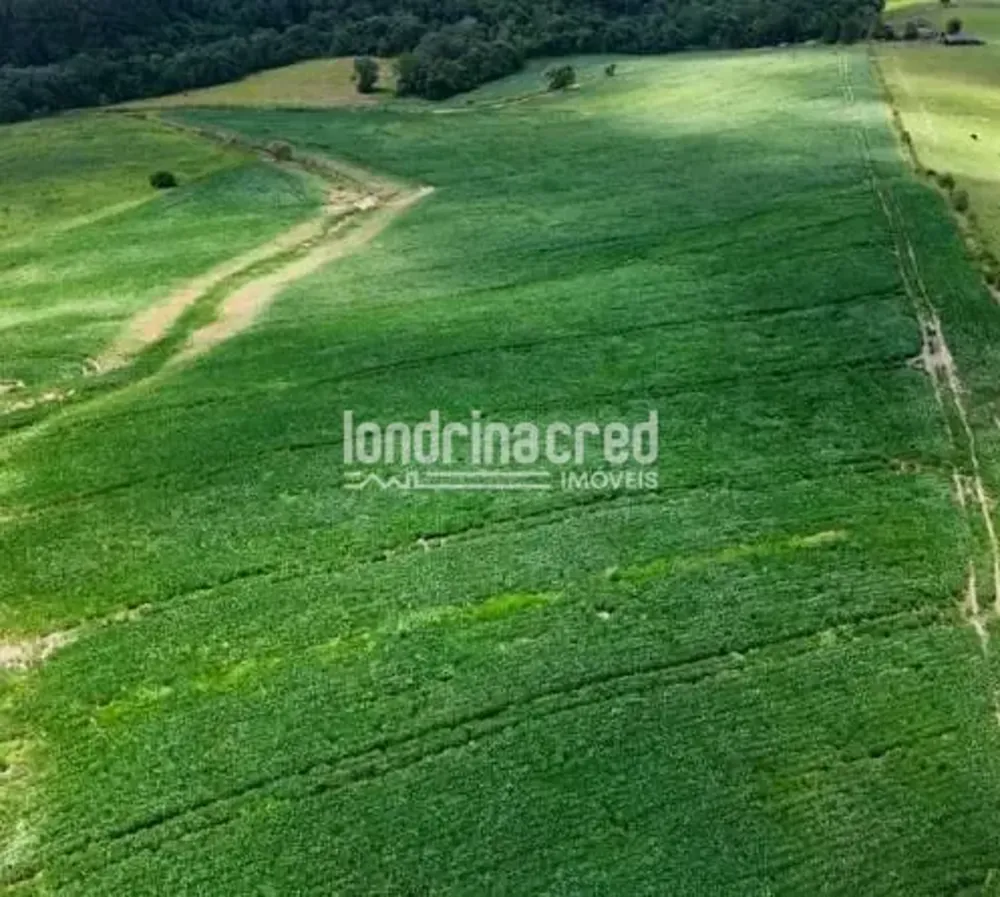 Fazenda, 17 hectares - Foto 4