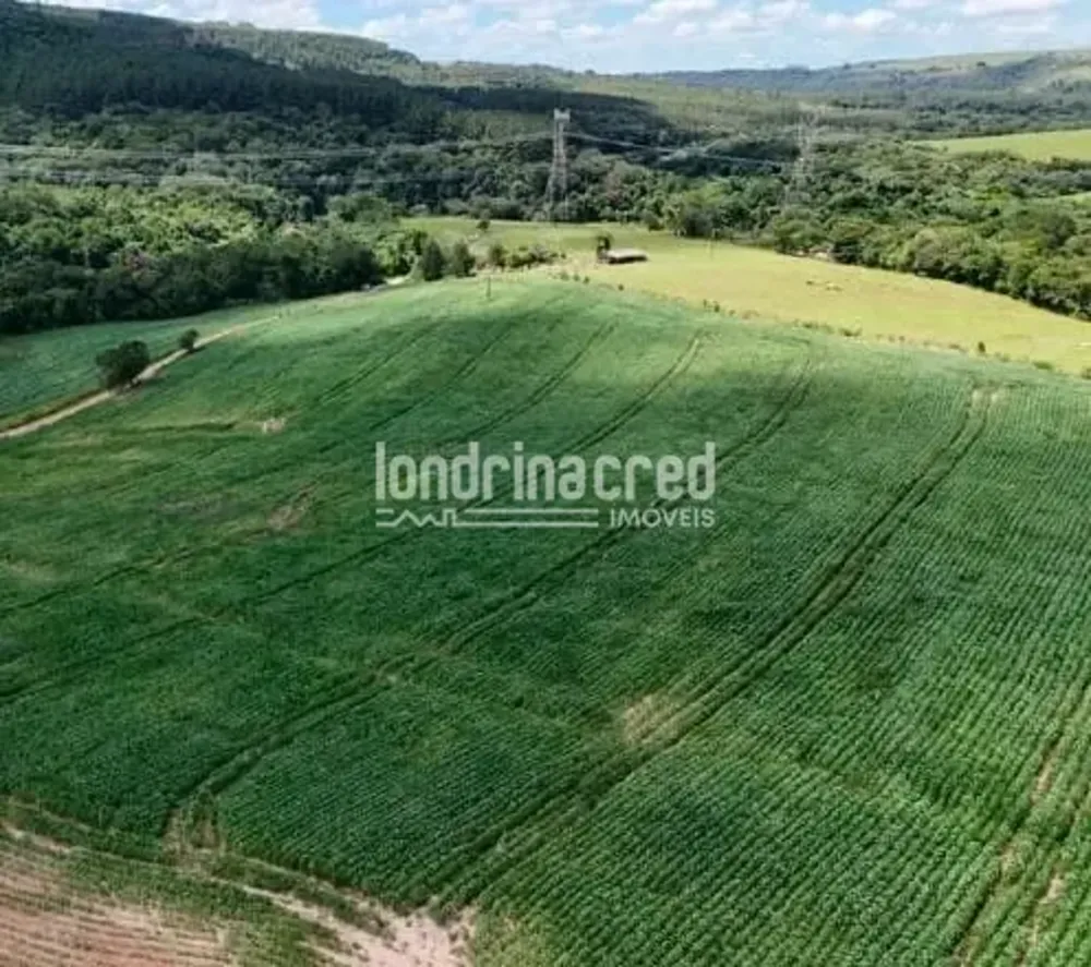 Fazenda, 17 hectares - Foto 3