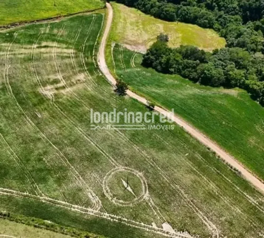 Fazenda, 17 hectares - Foto 1