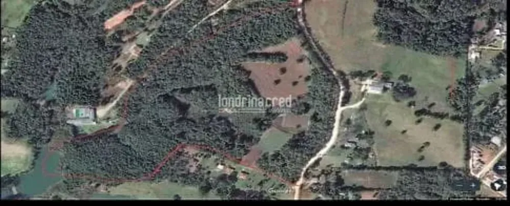 Terreno, 14 hectares - Foto 3