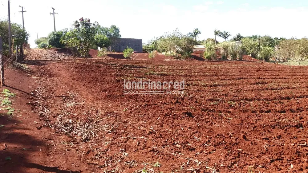 Chácara, 1 quarto, 5800 m² - Foto 7