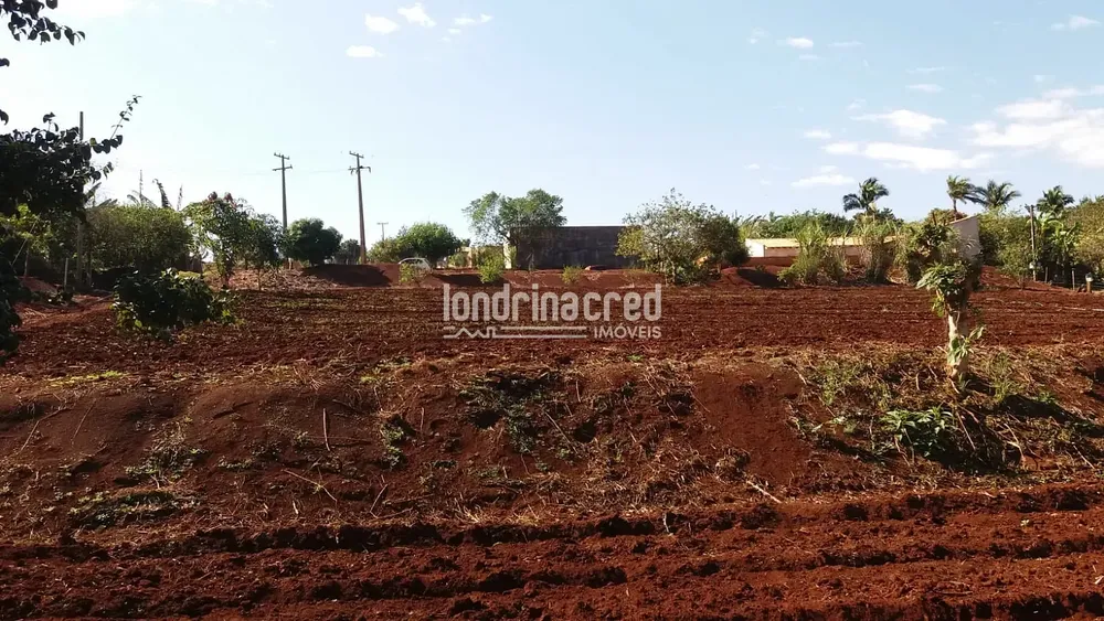 Chácara, 1 quarto, 5800 m² - Foto 5