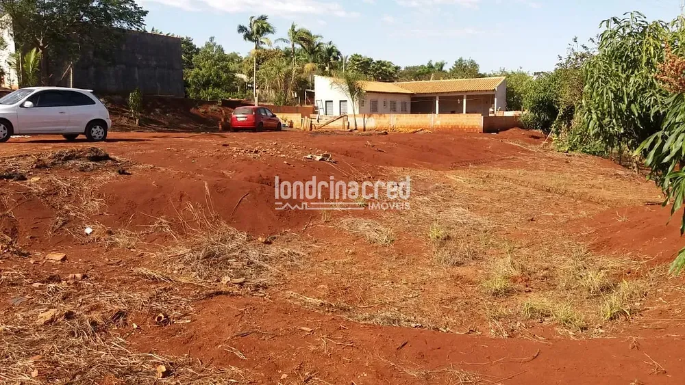 Chácara, 1 quarto, 5800 m² - Foto 2