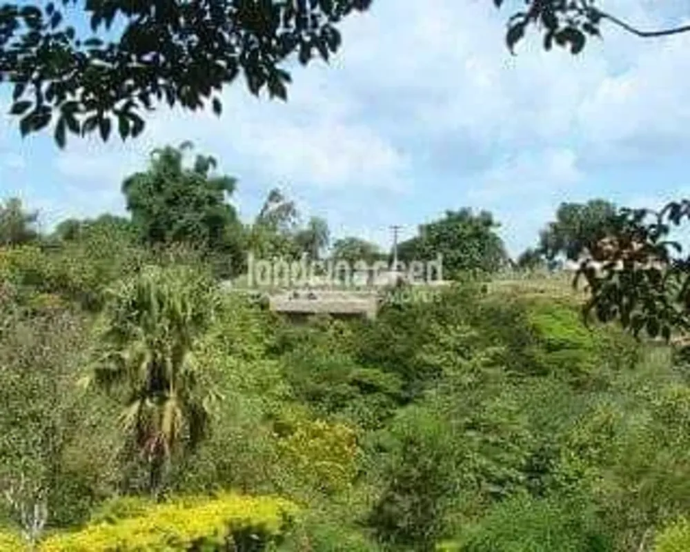 Chácara, 3 quartos, 23 m² - Foto 6