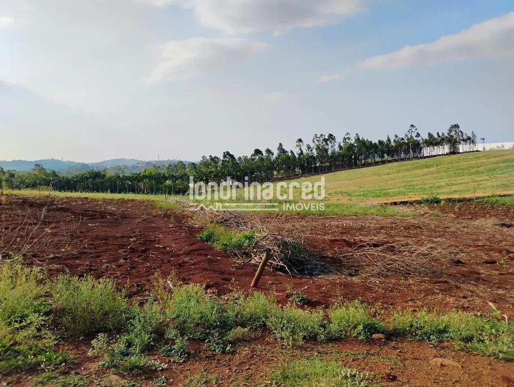 Terreno, 1000 m² - Foto 2