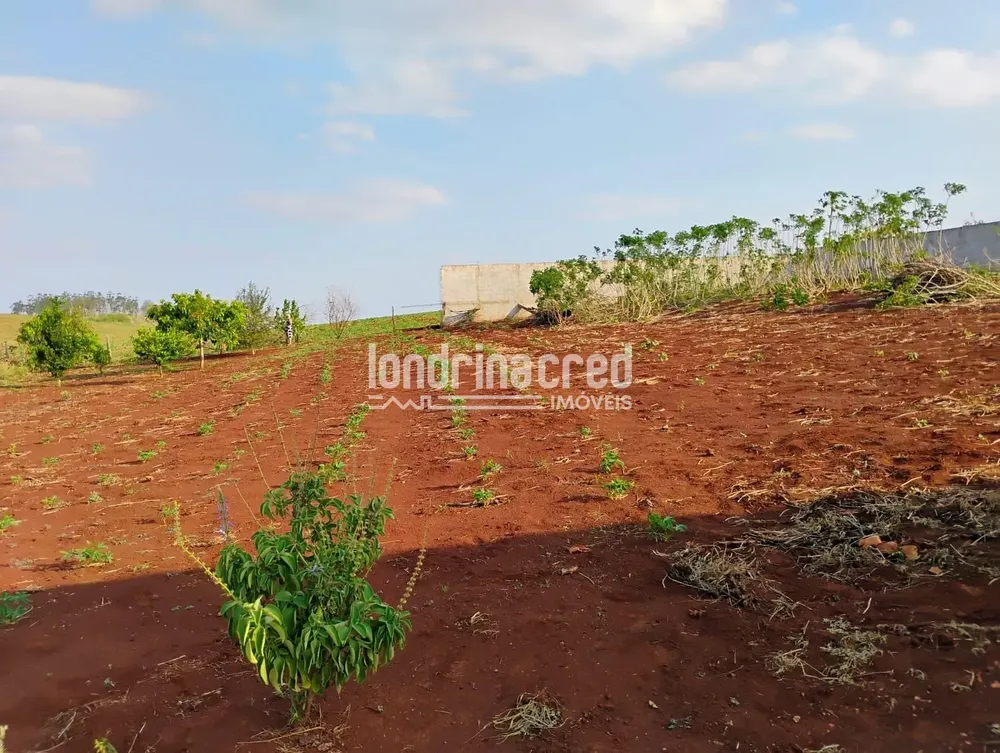 Terreno, 1000 m² - Foto 5