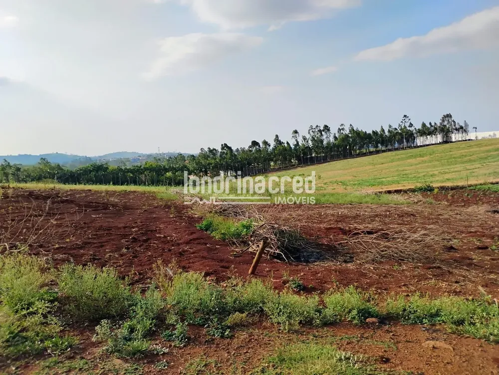 Terreno, 1000 m² - Foto 3