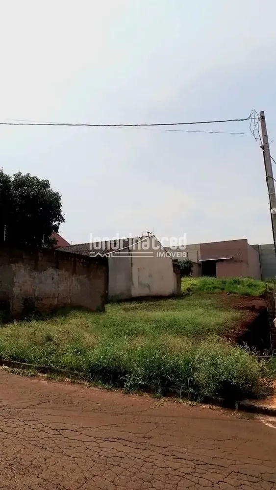 Terreno, 250 m² - Foto 4
