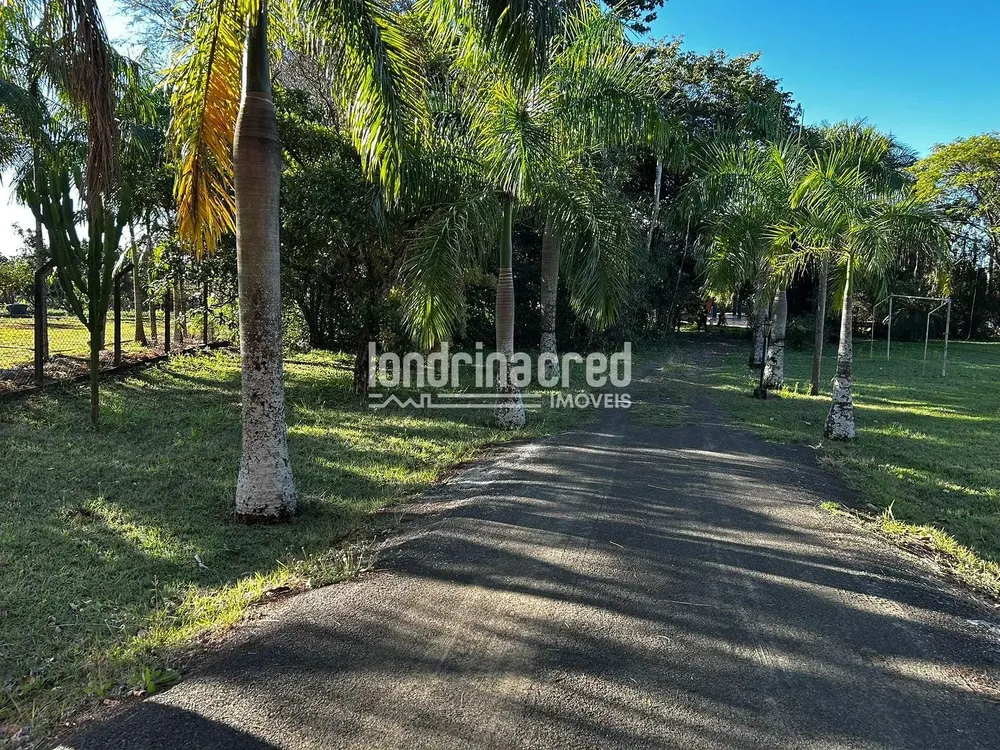 Chácara, 3 quartos, 5000 m² - Foto 8