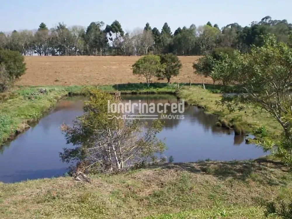 Chácara, 1 quarto, 2 hectares - Foto 2