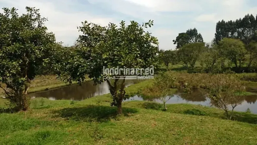 Chácara, 1 quarto, 2 hectares - Foto 2