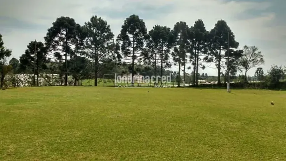 Chácara, 1 quarto, 2 hectares - Foto 1