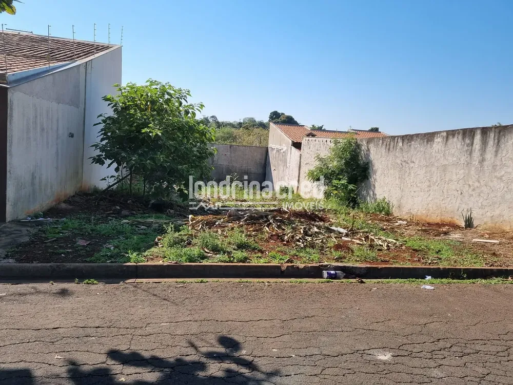 Terreno, 250 m² - Foto 1