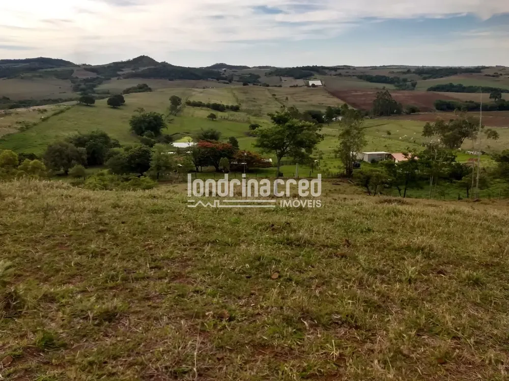 Sítio, 1 quarto, 12 hectares - Foto 6