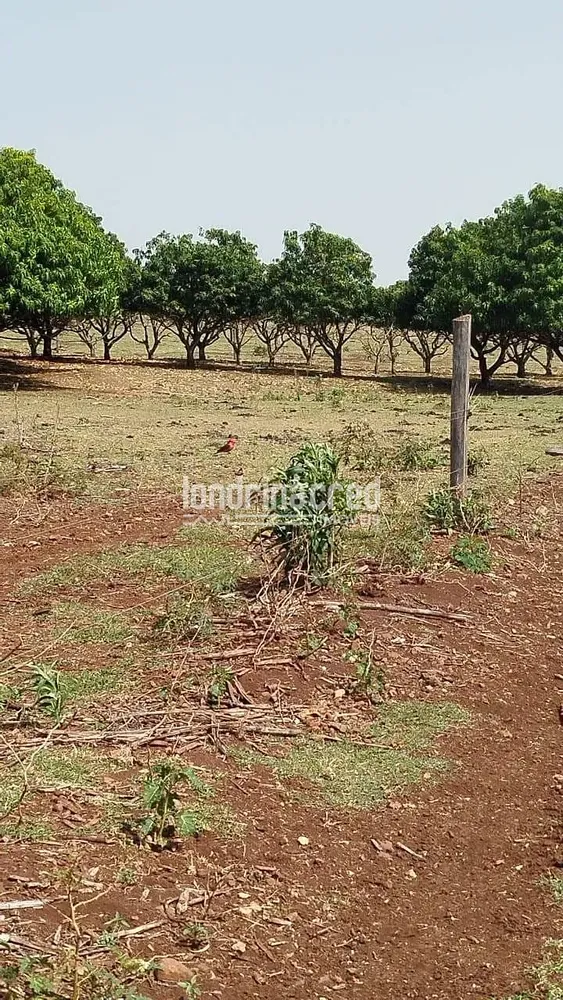 Sítio, 1 quarto, 12 hectares - Foto 2
