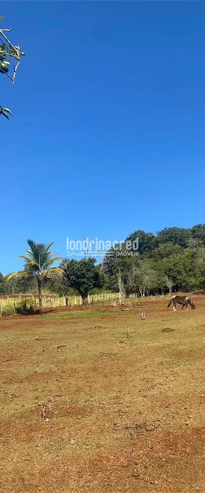 Chácara, 2 quartos, 3 hectares - Foto 2