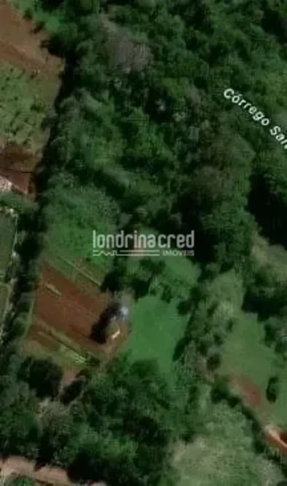 Sítio, 1 quarto, 2 hectares - Foto 1
