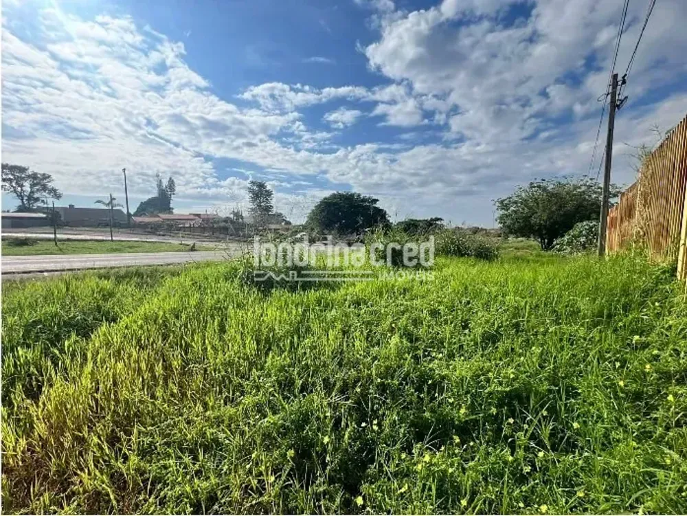 Terreno, 7600 m² - Foto 2