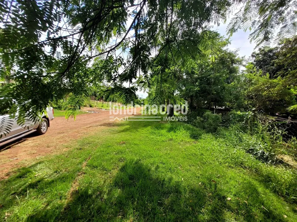 Chácara, 2 quartos, 5600 m² - Foto 1