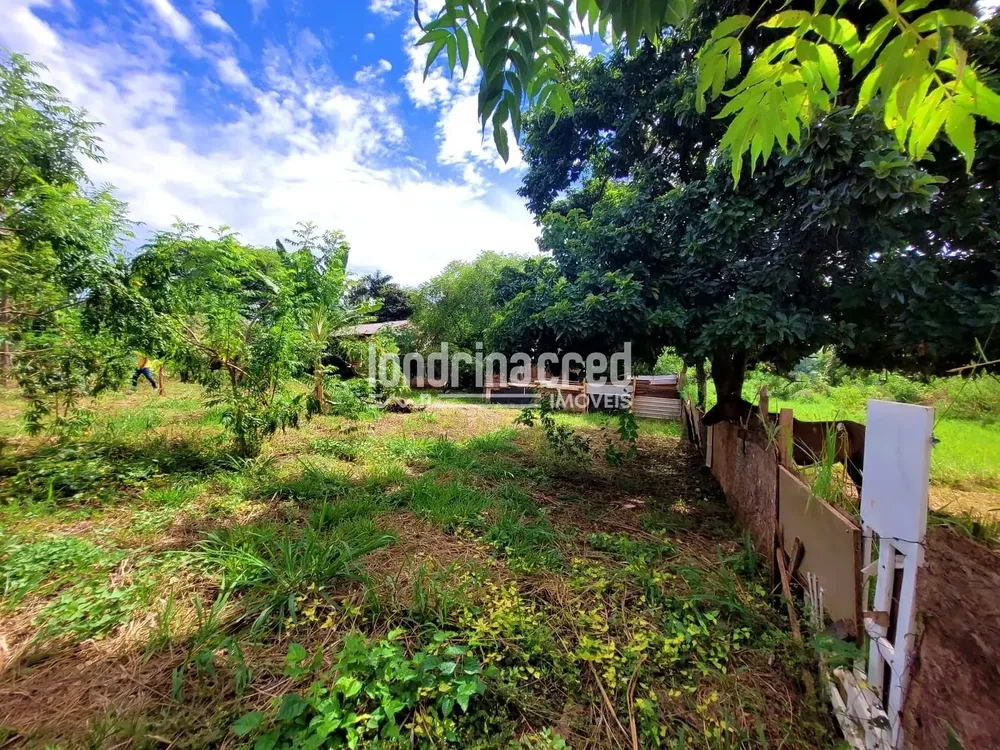 Chácara, 2 quartos, 5600 m² - Foto 2
