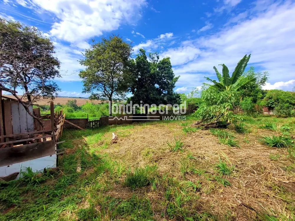 Chácara, 2 quartos, 5600 m² - Foto 3