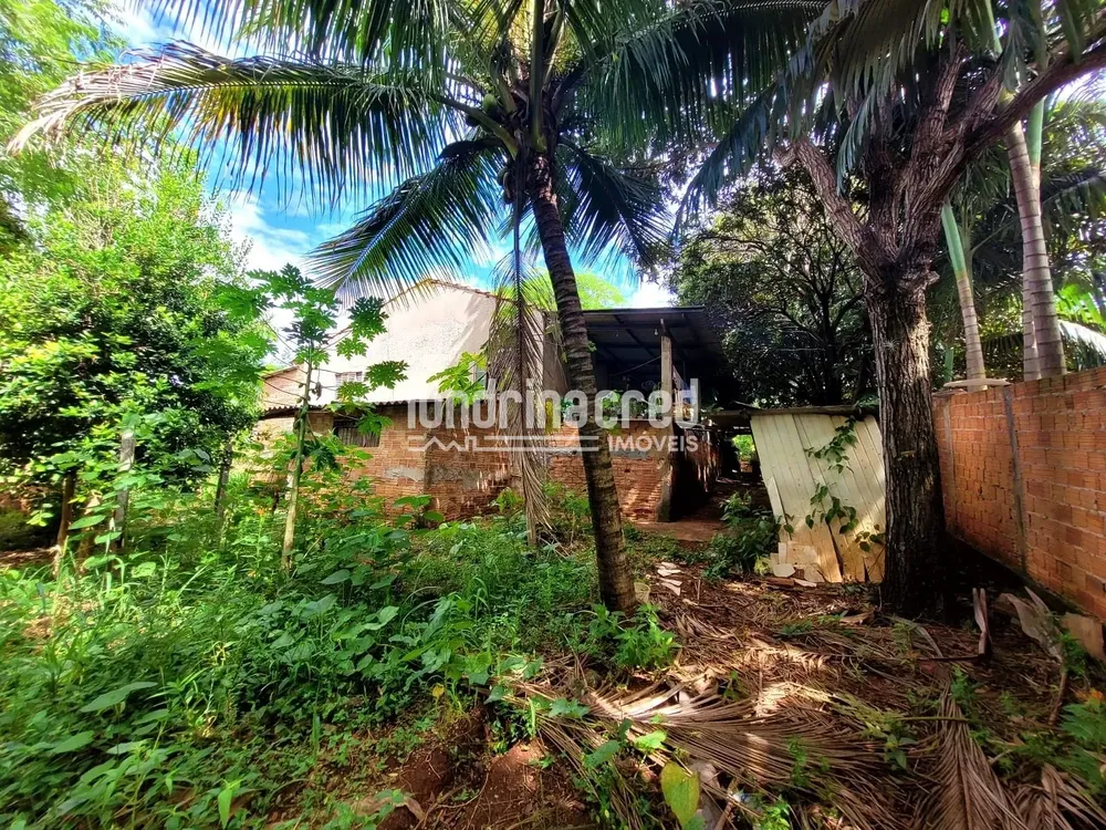 Chácara, 2 quartos, 5600 m² - Foto 4